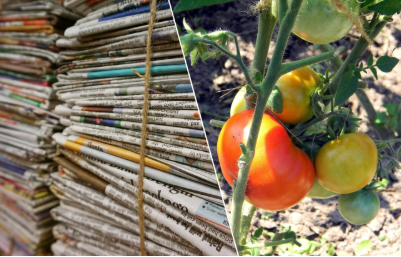 У шафі знайшла цілу “багатоповерхівку” зі старих газет — і це скарб! Всьому селу показала їхню користь