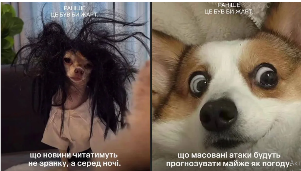 Смішні меми та тварини: як почуття гумору допомагає українцям переживати зміни та війну