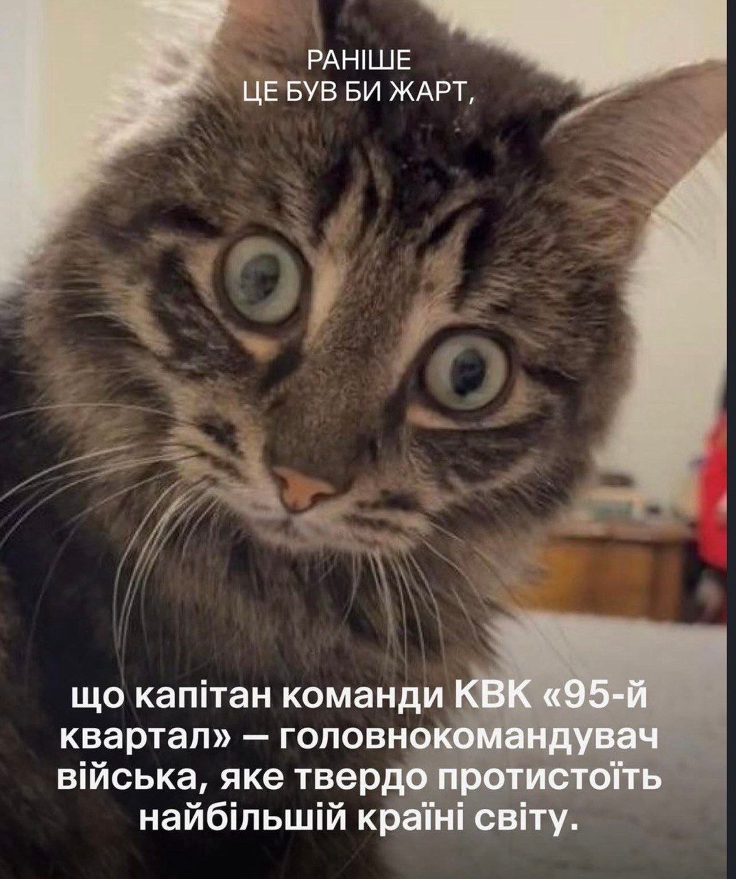 Прикольні коти - фото 849055