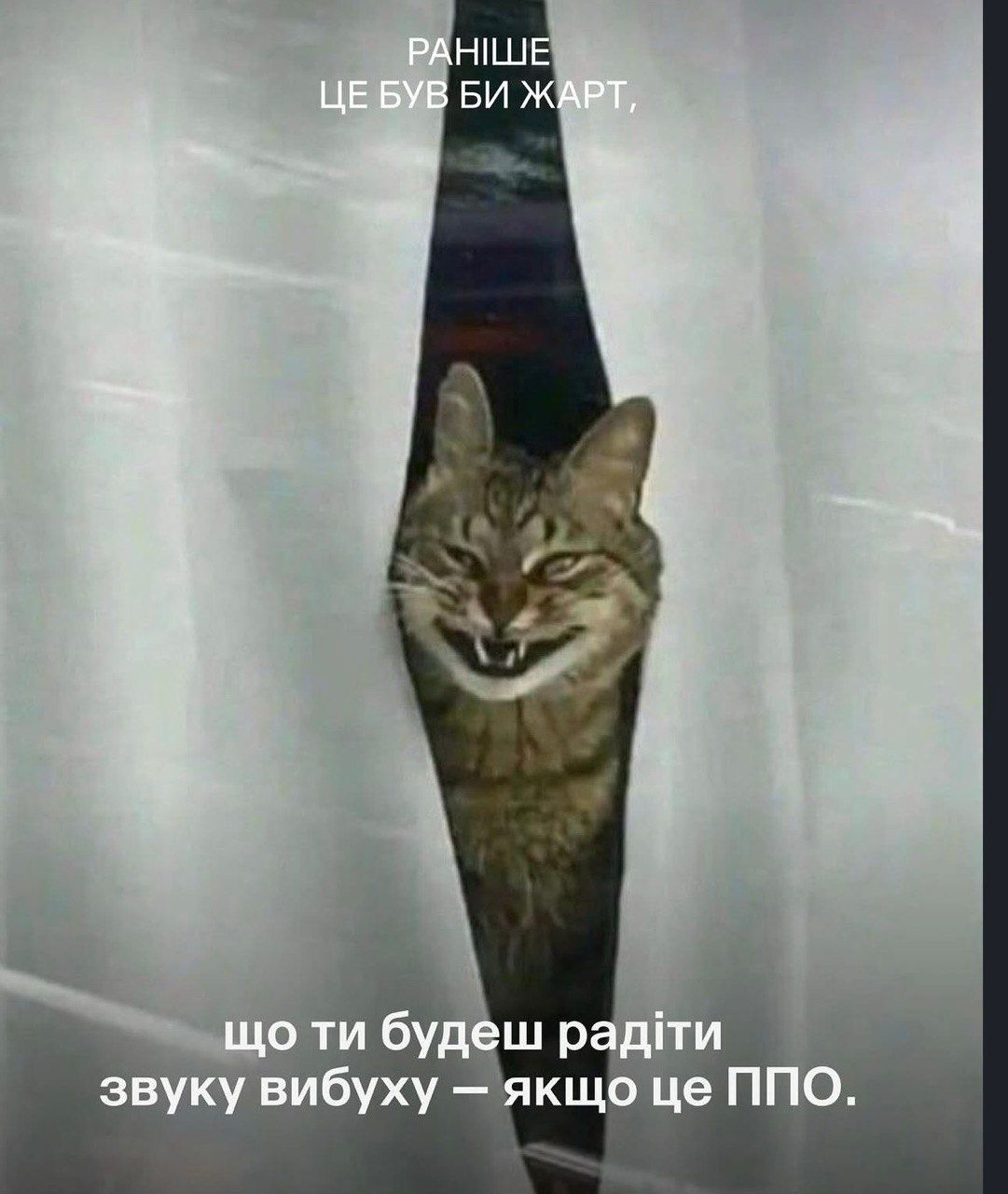 Смшні коти та меми - фото 849056