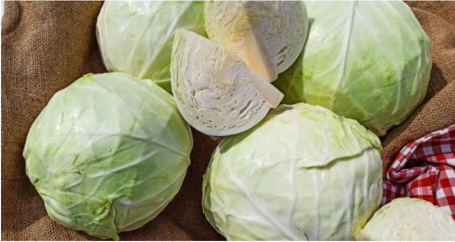 Рекордне падіння: білоголова капуста в Україні здешевшала майже на 90%