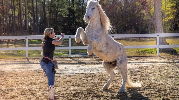 Кінь Грінго / &copy; Guinness World Records