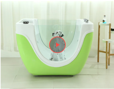 Кумедні образи шпіца Шили: як звичайне купання перетворилося на креативне шоу