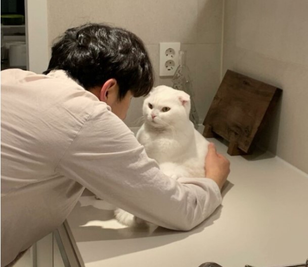 Кішка-інтроверт стала новою зіркою Мереж (ФОТО)