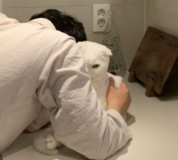 Кішка-інтроверт стала новою зіркою Мереж (ФОТО)