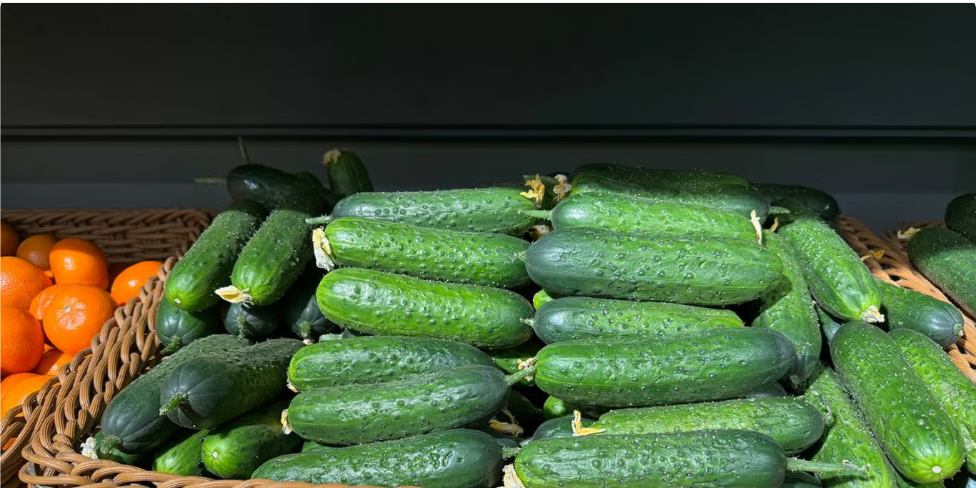 Ціни на огірки в супермаркетах Києва: де купити найдешевше та чого очікувати далі
