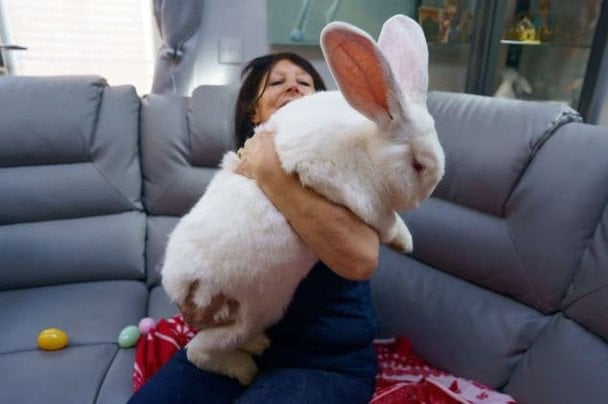 Кролик Джуніор і Лін / &copy; SWNS