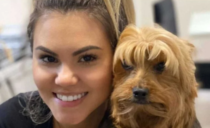 Дівчина самостійно постригла собаку і перетворила її на ходячий мем (фото)