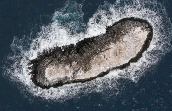 В Антарктиді випадково відкрили новий острів: вчені спершу прийняли його за брудний айсберг