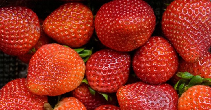 Як&nbsp;полуниця впливає на&nbsp;організм: топ корисних властивостей, про які ви&nbsp;не&nbsp;знали