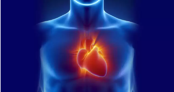 5 ознак того, що серце на межі інфаркту: симптоми, які не можна ігнорувати