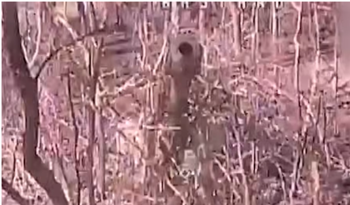 Дрони на оптоволокні нищать ворога: «Сталевий кордон» ліквідував техніку та укриття окупантів