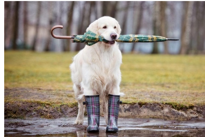 Атмосферний фронт принесе дощі та похолодання: якою буде погода в Україні
