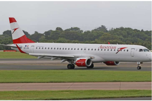 Як звичайна бджола зупинила авіарейс в Австрії та затримала сотню пасажирів