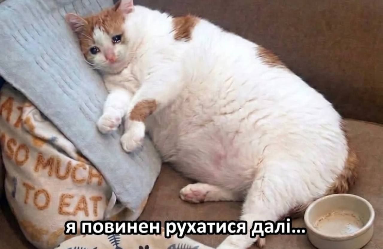 Меми про початок робочого тижня - фото 855498