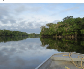 Таємничі дороги Амазонії: вчені відкрили масштабну мережу інфраструктури стародавніх цивілізацій