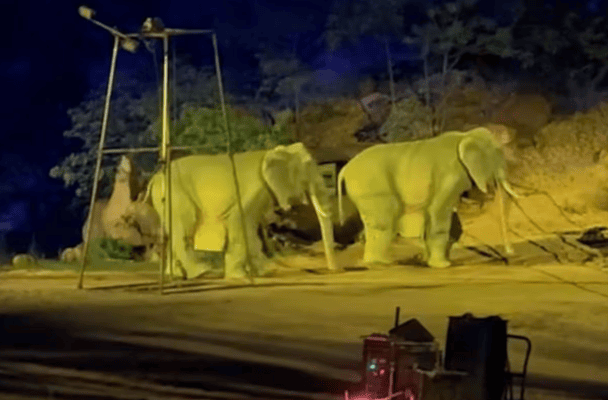 Фото: AsiaWire/NX