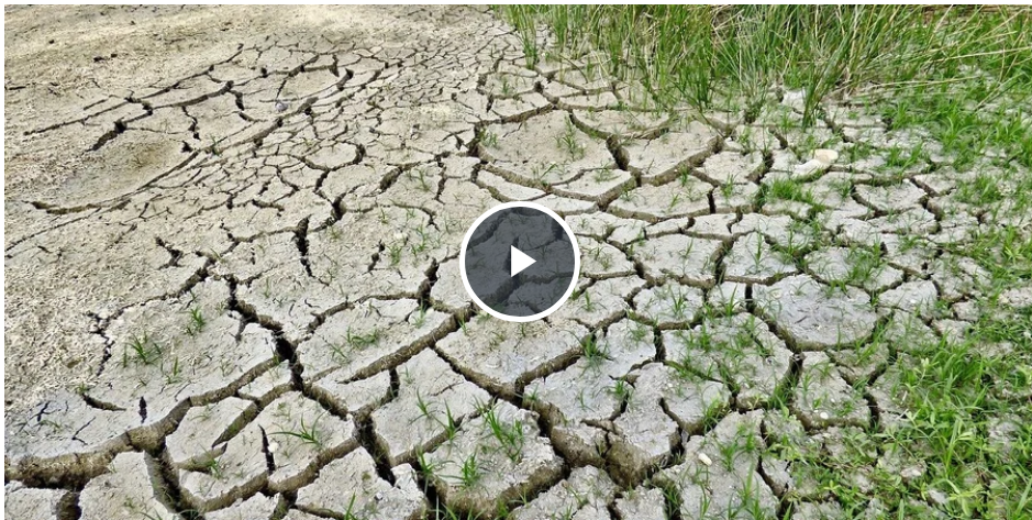 Екстремальна спека та посуха: до 2090 року кліматична криза охопить 2,6 мільярда людей