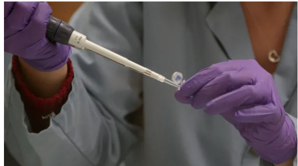 Походження людини переглянули: нове дослідження ДНК змінило теорію