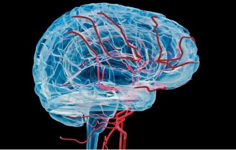 Як розпізнати погану прохідність судин: три головні тривожні симптоми