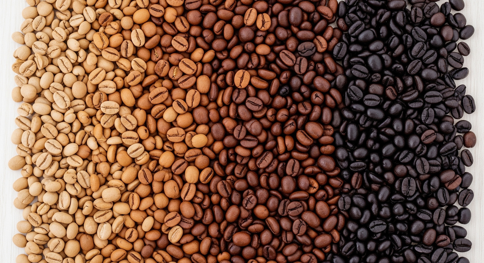 Кофе в зернах – секрет идеального вкуса от интернет-магазина ROOV