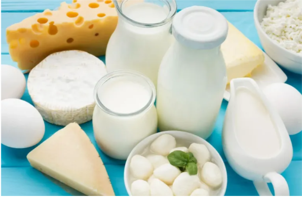 Молоко чи сир: як різні молочні продукти впливають на мікробіом кишківника