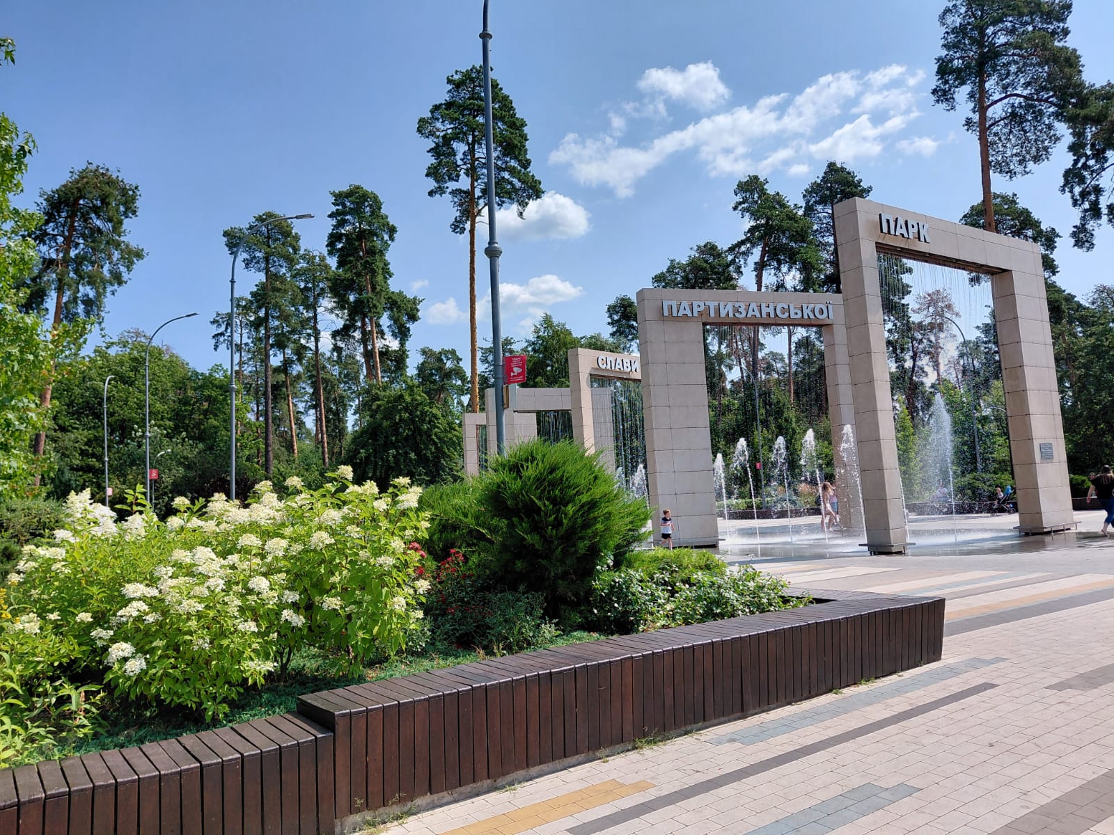 У столиці триває сезон цвітіння гортензій