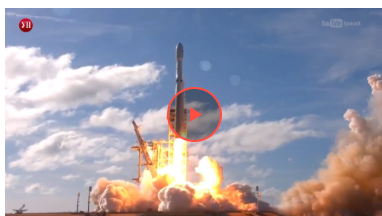 Відеоблогер насмішив YouTube, навчивши кішку запускати ракету (відео)