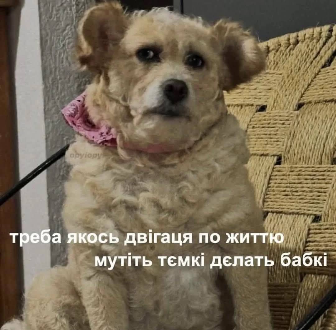 Меми про втому, від якої ми всі реально втомилися - фото 898425