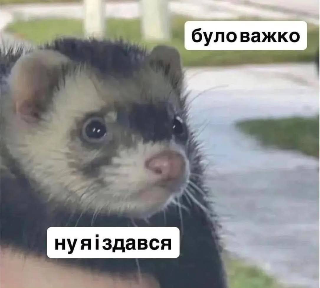 Меми про втому, від якої ми всі реально втомилися - фото 898426
