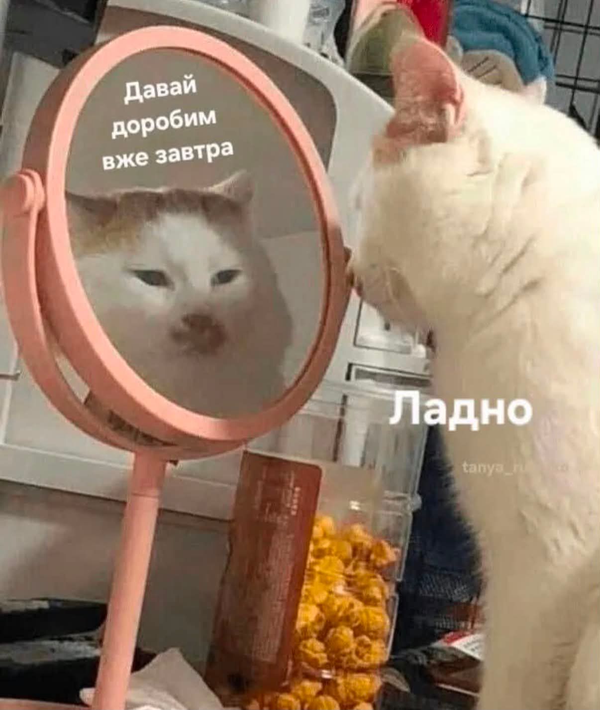 Меми про втому, від якої ми всі реально втомилися - фото 898428
