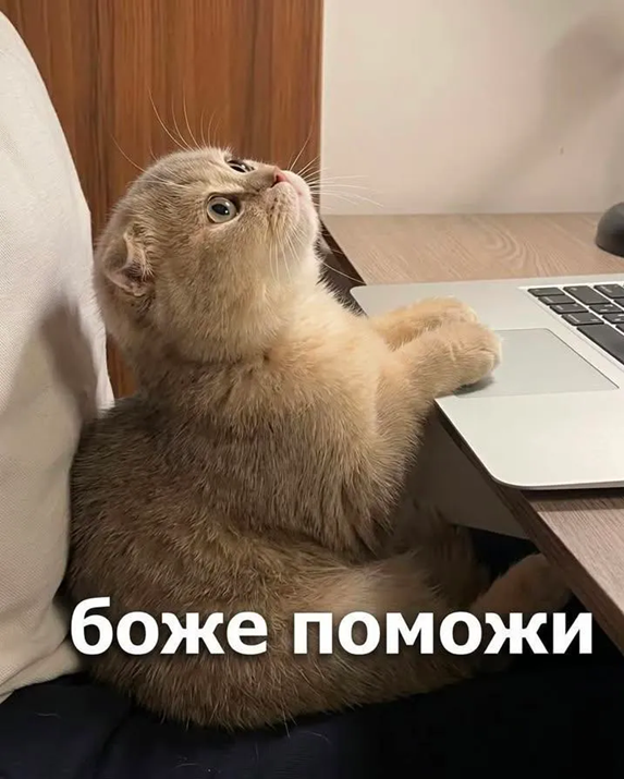 Меми про втому, від якої ми всі реально втомилися - фото 898431