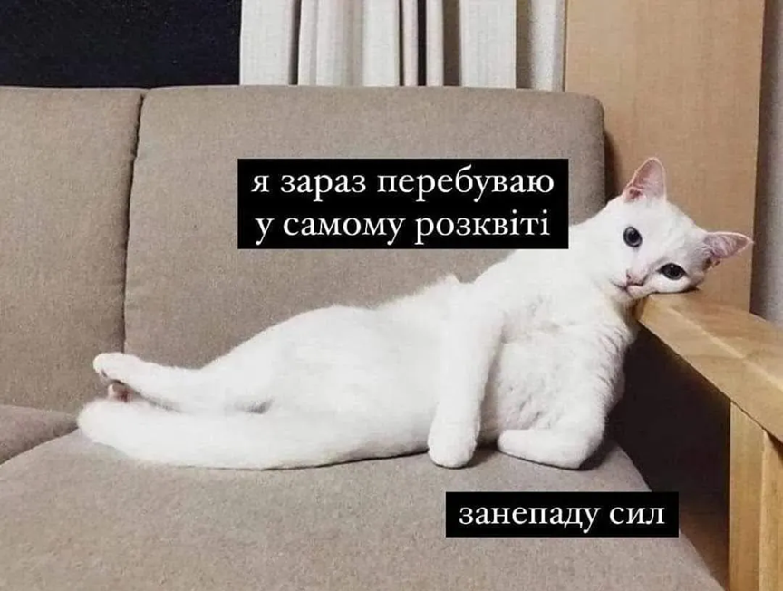Меми про втому, від якої ми всі реально втомилися - фото 898432