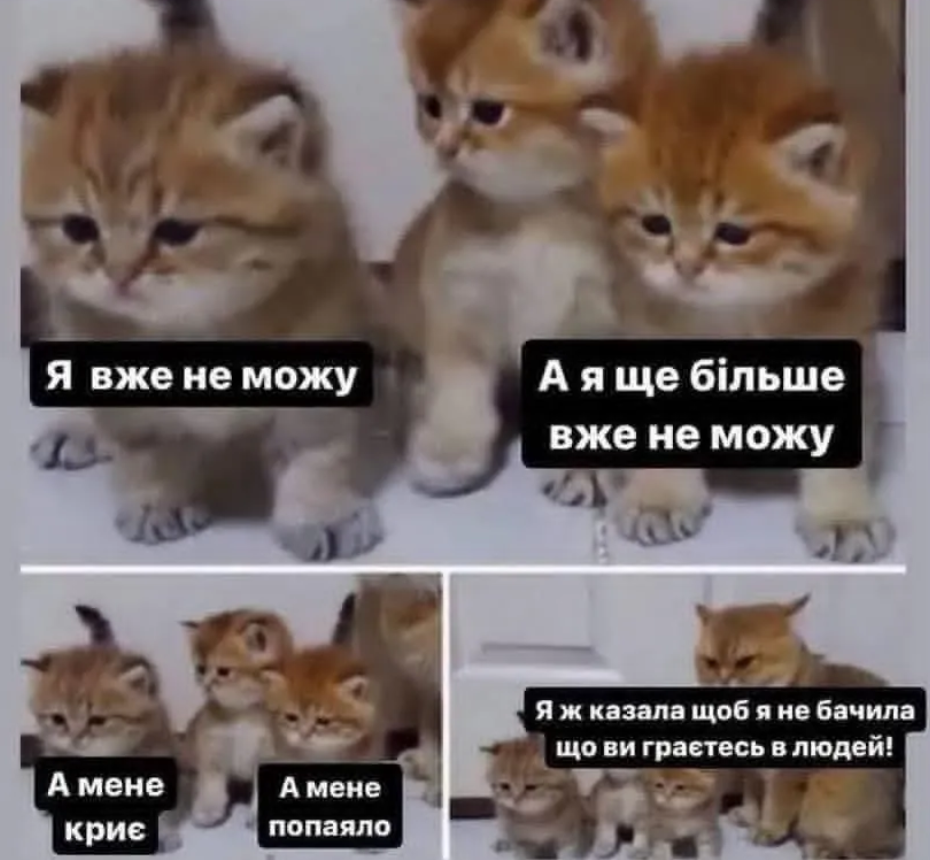 Меми про втому, від якої ми всі реально втомилися - фото 898439