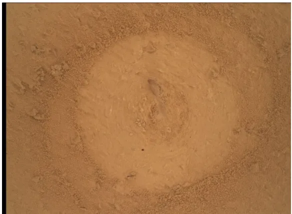 Марсохід Curiosity пробурив нову породу на Марсі в пошуках слідів давніх озер