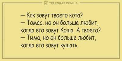 Свежие анекдоты о дамах за рулем и остроумных официантах