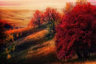 Как выглядит осень в разных уголках планеты. Фото