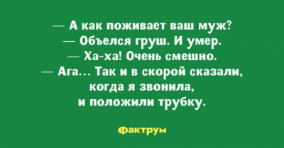 Хохот до упаду: забавные анекдоты для любителей тонкого юмора