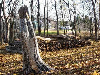 Канадский лесоруб принял произведение искусства за дрова