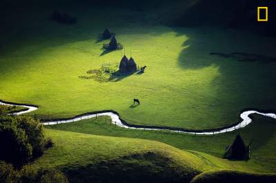 Впечатляющие снимки с конкурса National Geographic. Фото