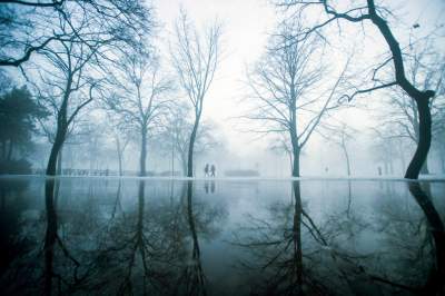 Фотограф показал таинственную природу в "объятьях" тумана. Фото