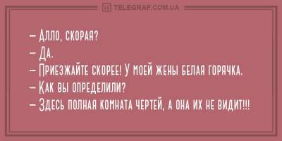 Пять минут смеха: анекдоты о белой горячке и котах-атеистах. Фото