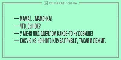 Пять минут смеха: анекдоты о белой горячке и котах-атеистах. Фото