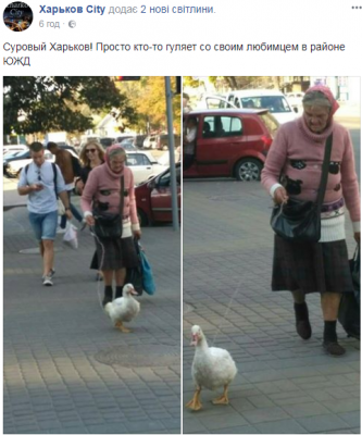 В Харькове видели бабушку, выгуливающую утку на поводке  