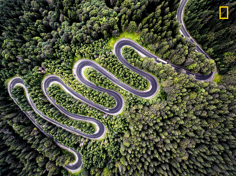 Первые работы фотоконкурса National Geographic Nature Photographer Of The Year 2017