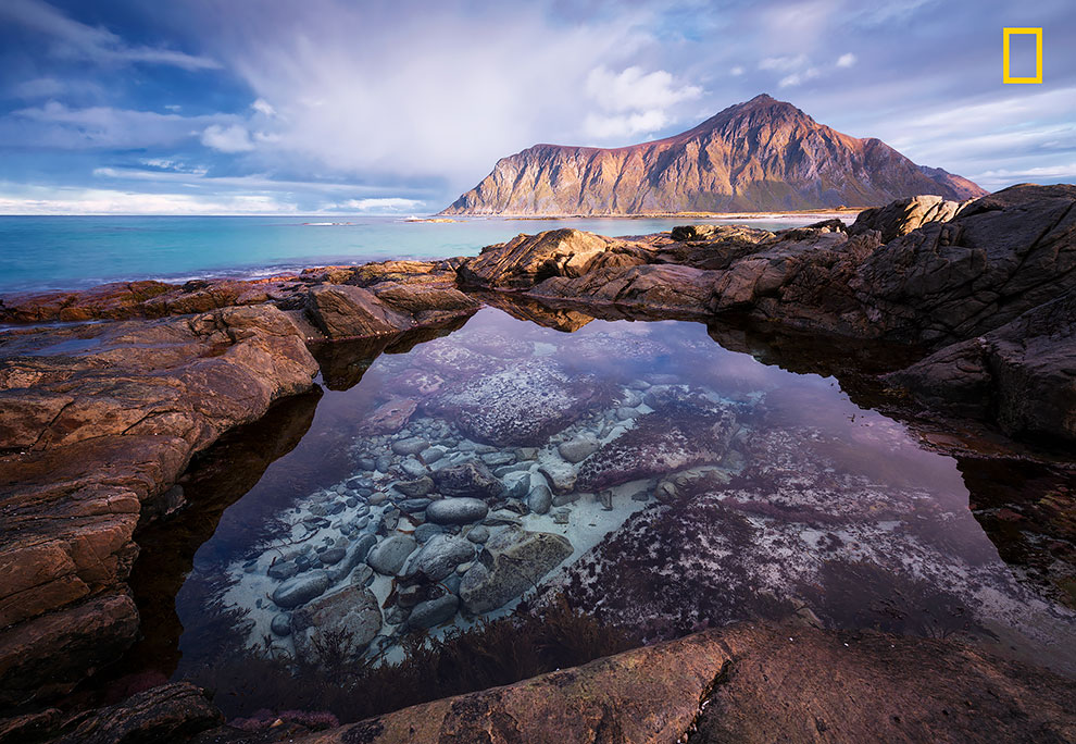 Первые работы фотоконкурса National Geographic Nature Photographer Of The Year 2017