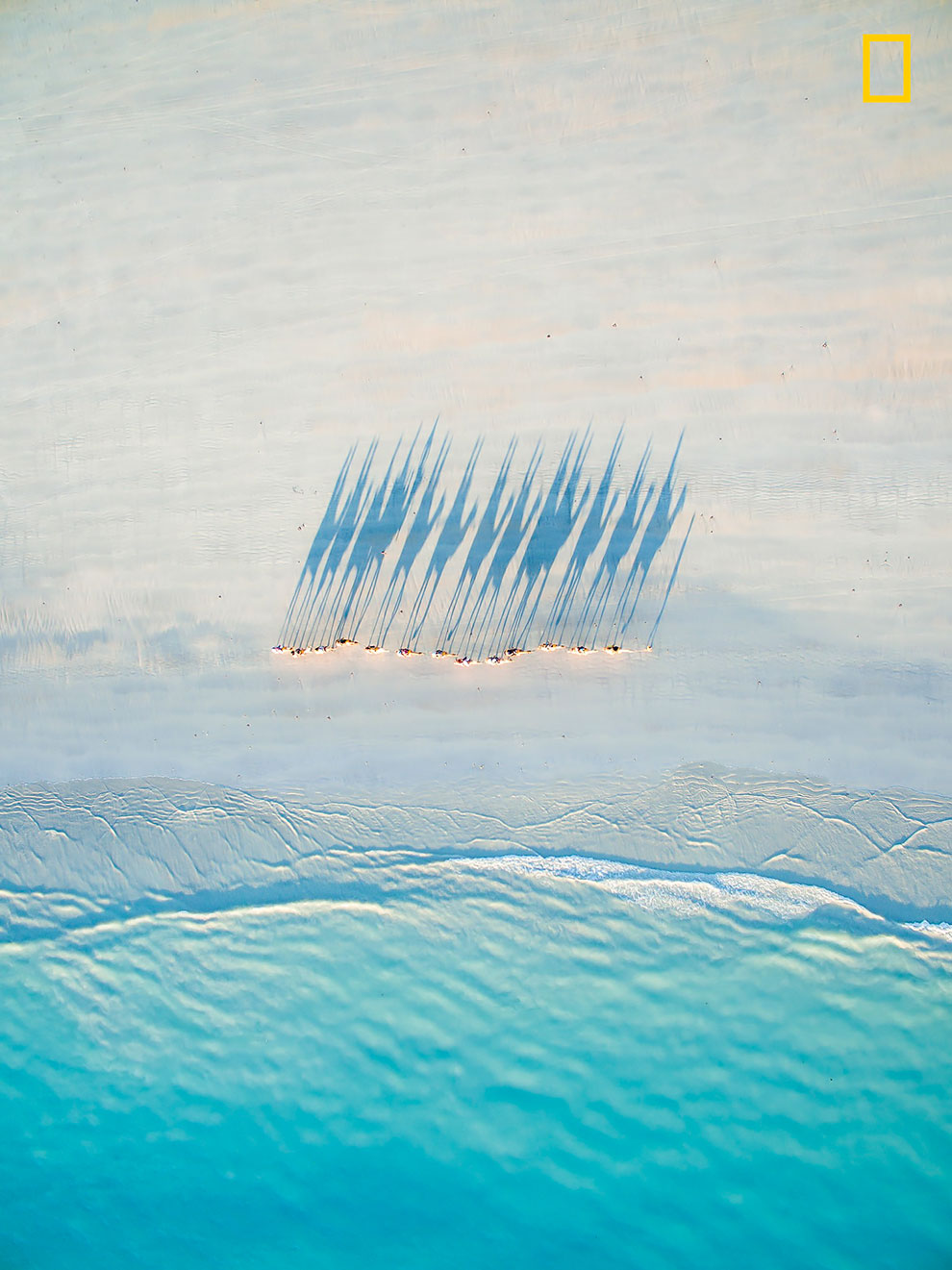 Первые работы фотоконкурса National Geographic Nature Photographer Of The Year 2017