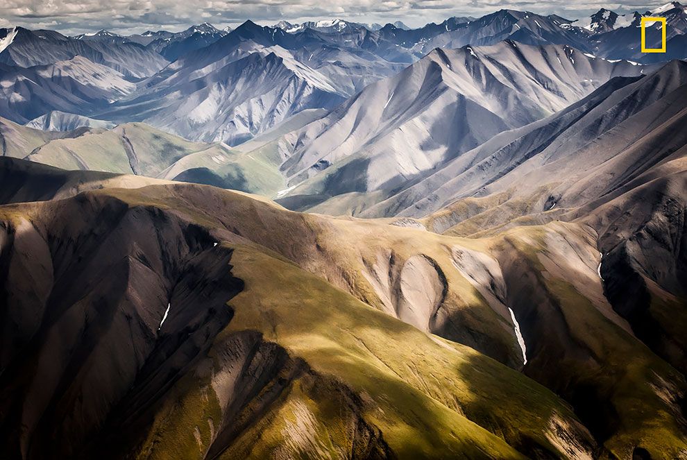 Первые работы фотоконкурса National Geographic Nature Photographer Of The Year 2017