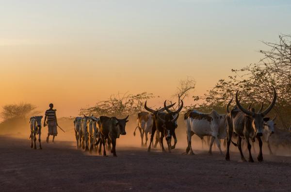 Экзотическая Африка: снимки сказочно красивой природы Эфиопии (ФОТО)