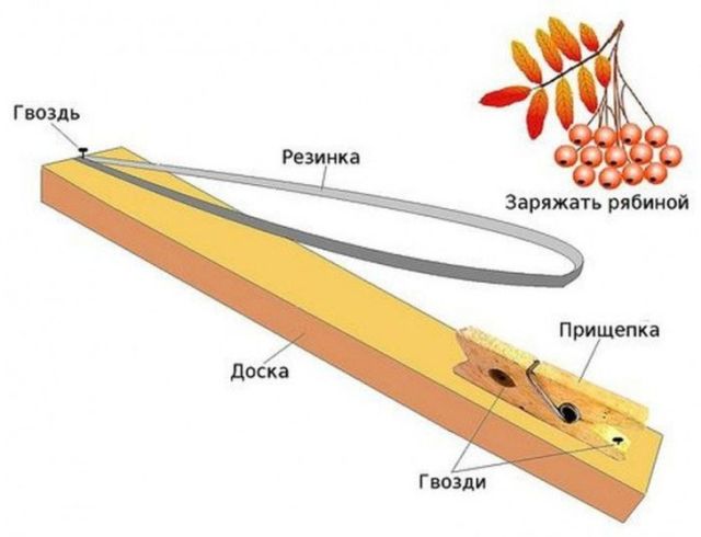 Необычные игрушки советского детства